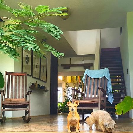 El Hotelito At The Rainforest Experience Farm Fajardo Exterior foto