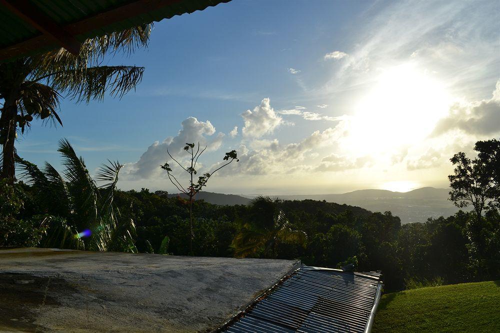 El Hotelito At The Rainforest Experience Farm Fajardo Exterior foto