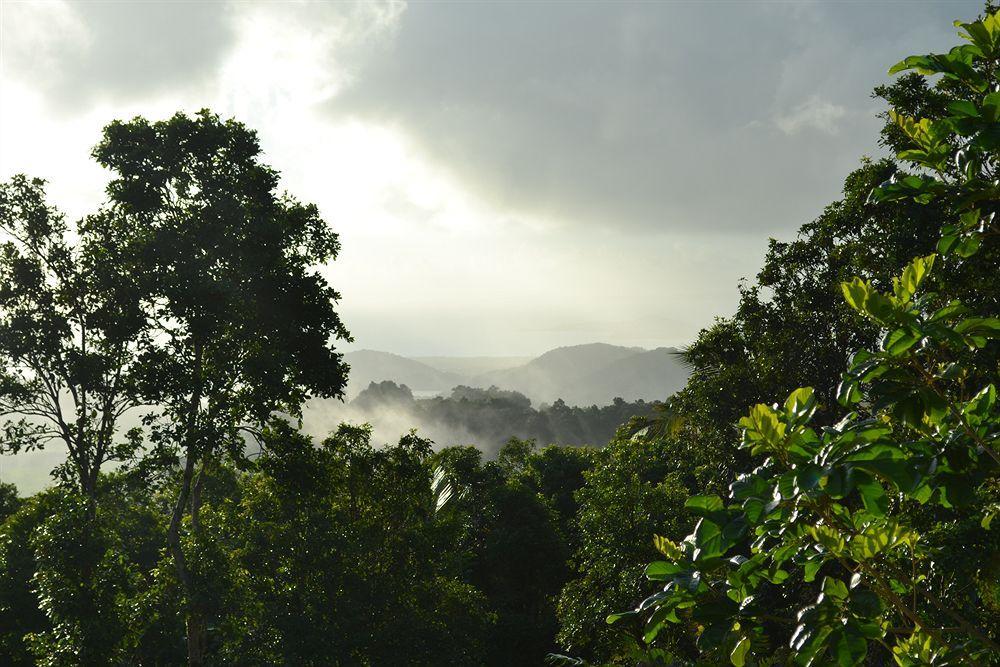 El Hotelito At The Rainforest Experience Farm Fajardo Exterior foto