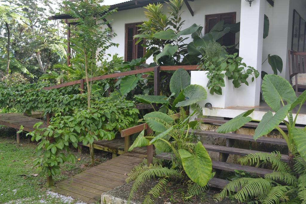 El Hotelito At The Rainforest Experience Farm Fajardo Exterior foto