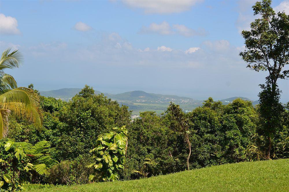 El Hotelito At The Rainforest Experience Farm Fajardo Exterior foto