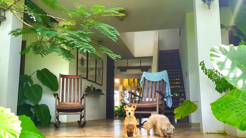El Hotelito At The Rainforest Experience Farm Fajardo Exterior foto